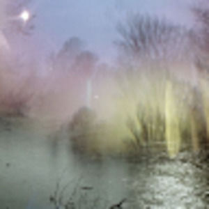 Meet your Posher, Lily